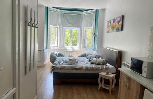 Centrul Vechi Apartamento | Livada Studio Apartments
