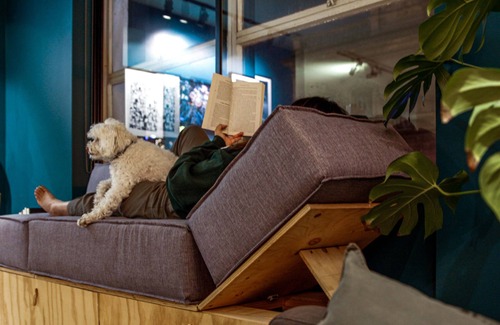 Fitzroy Apartamento | Live on the world's most livable street! Walk everywhere, pet welcome.
