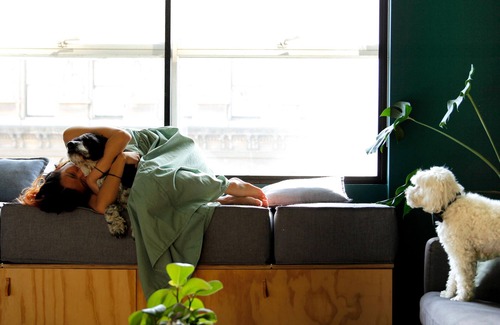 Fitzroy Apartamento | Live on the world's most livable street! Walk everywhere, pet welcome.