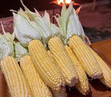 Harau Cabina | Livio Homestay