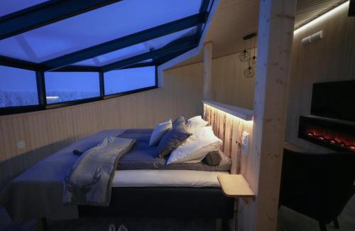 Posio Complejo | Livo Arctic Resort