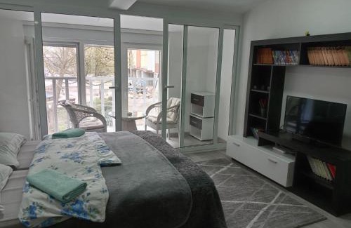 Banja Koviljaca Apartamento | Ljuba