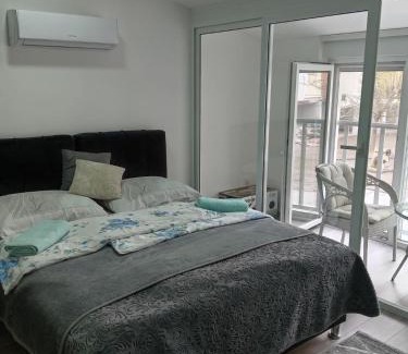 Banja Koviljaca Apartamento | Ljuba