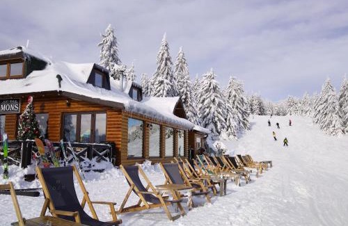 Kopaonik Apartamento | Ljubica