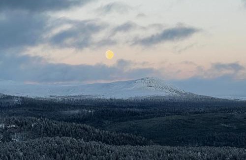 Ljusnedal Apartamento | Ljusnedal lägenhet med golf, paddel, fiske och skidåkning