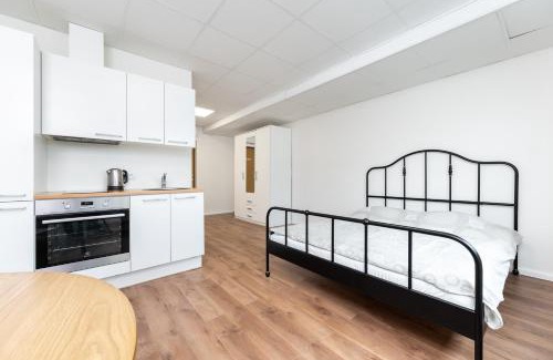 Lasnamae Apartamento | LKS Apartment one