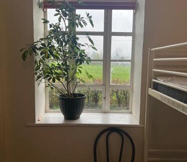 Llanfyllin Hostal | Llanfyllin Workhouse - Y Dolydd