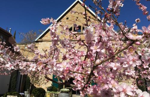 Gimmeldingen Apartamento | Loblocher Hof