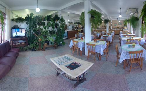 Centro Hotel | Lobo Hotel