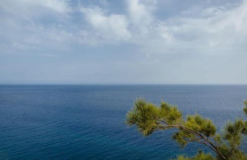 Camara de Lobos Apartamento | Lobos Bay-Apartment With Unique Sea Views