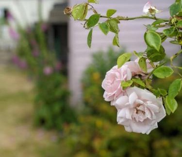 Fulmodeston Casa | Lobster Pot Cottage