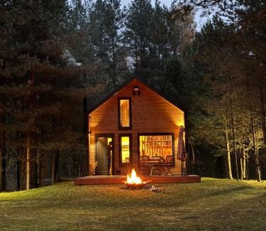 Vilnius County Casa | Local Forest