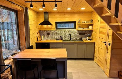 Vilnius County Casa | Local Forest