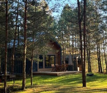 Vilnius County Casa | Local Forest