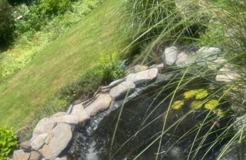 Cranston Apartamento | Local Oasis