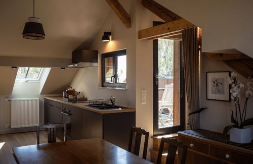 Michelbach Hotel | Appartement Avec Terrasse 3 Personnes