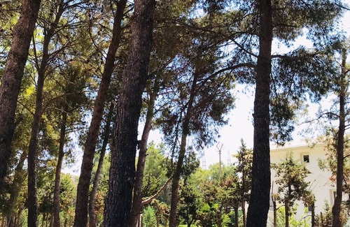 Galatina Villa | Location Ideale per il Vostro Soggiorno nel Cuore Pulsante del Salento