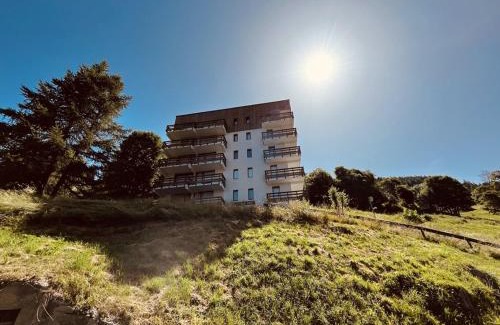 Plan Peisey Apartamento | Location Studio 4 pers avec balcon à Plan Peisey - FR-1-757-105