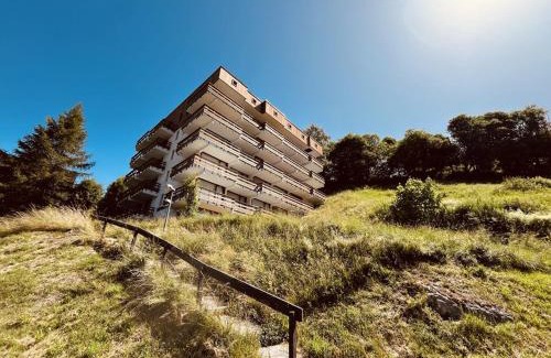 Plan Peisey Apartamento | Location Studio 4 pers avec balcon à Plan Peisey - FR-1-757-105