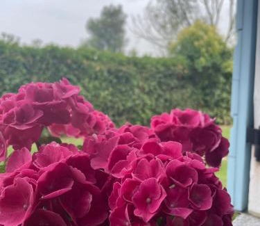 Quinto di Treviso Casa | Locazione Riv'al Sile