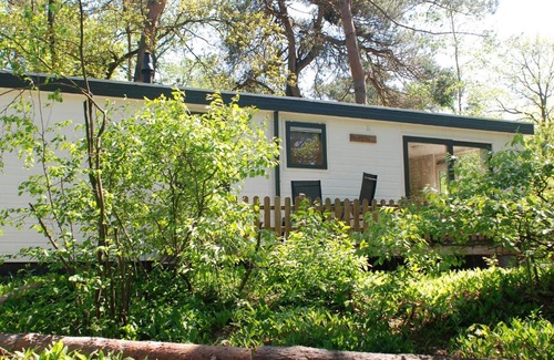 Nunspeet Chalet De Esquí | Lodge Merel Nunspeet Veluwe