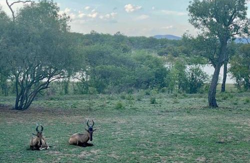 Leeupoort Casa | Lodge on Watering Hole , Zebula