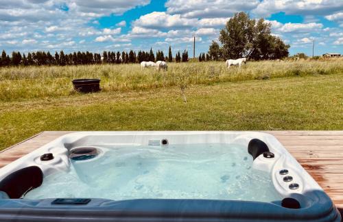 Saint-Laurent-d'Aigouze Cabina | Lodge Sainte Sara