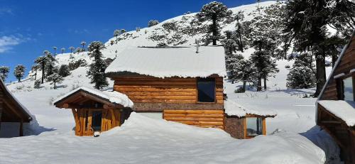 Caviahue Cabina | Lodge Tikilen Caviahue