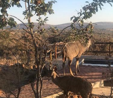 Bela-Bela Casa | Lodge Twentyfour Mabalingwe Nature Reserve