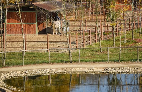 Rovigo Casa | Alojamiento inmerso en la tranquilidad del campo de Polesana.