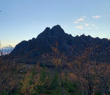 Vagan Casa | Lofoten- Feriehus Fjøsen