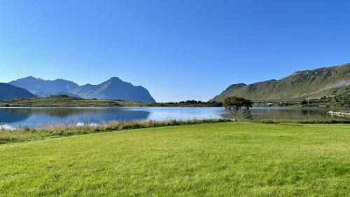 Bostad Casa | Lofoten Wildlife Panorama