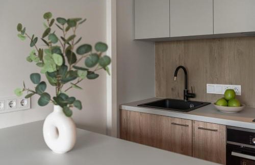 Vilnius city municipality Apartamento | Loft 12