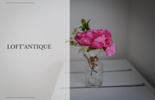 Crimolois Apartamento | Loft antique