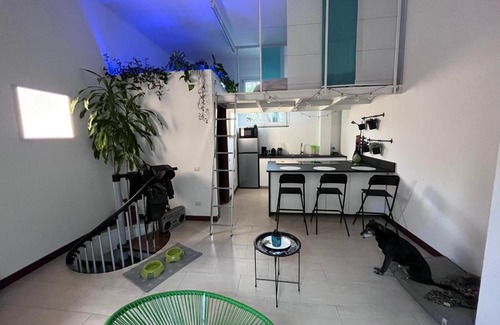 Calvairate Apartamento | LOFT CON TERRAZZO