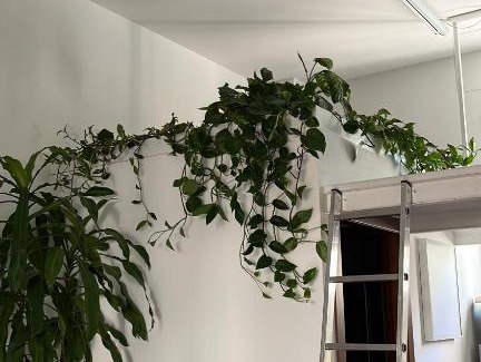 Calvairate Apartamento | LOFT CON TERRAZZO