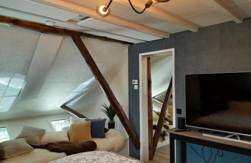 Gees Apartamento | Loft De Hooizolder met Sauna bij te boeken