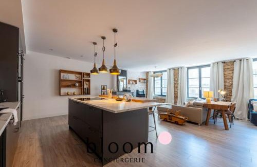Saint Nicolas - Charles III - Ville vieille - Trois Maisons - Leopold Apartamento | Loft de Standing Nancy plein coeur
