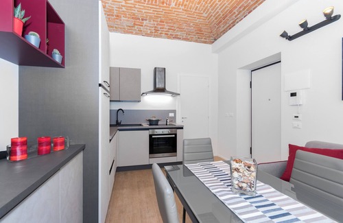 Vanchiglia Apartamento | Loft del conte nei pressi della Mole
