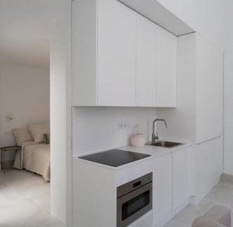 Numancia Apartamento | Loft in the city
