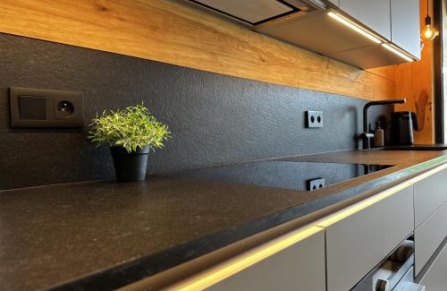 Strzeleczki Apartamento | Loft N 39 - ekskluzywny apartament pod Zamkiem w Mosznej