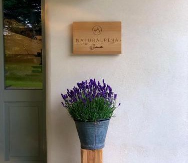 Belluno Apartamento | Loft Naturalpina Dolomiti Farm