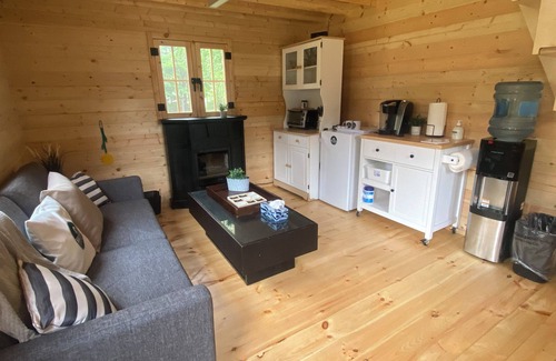 Weslemkoon Cabina | Loft Pine Cabin with Lake and Crown Land Access | Dog-Friendly