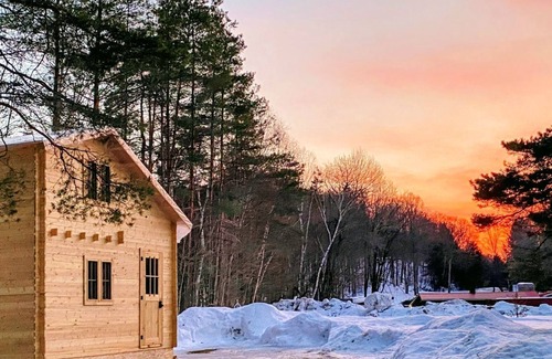 Weslemkoon Cabina | Loft Pine Cabin with Lake and Crown Land Access | Dog-Friendly
