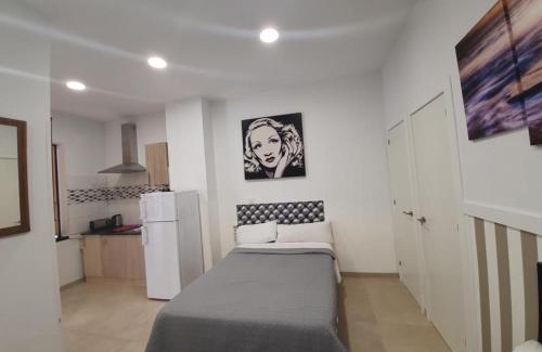 Gaztambide Apartamento | LOFT STAR THE PALMER HOUSE