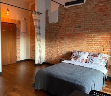 Zyrardow Apartamento | Loft Studio
