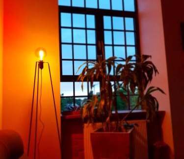 Lodz Apartamento | Loft Suite