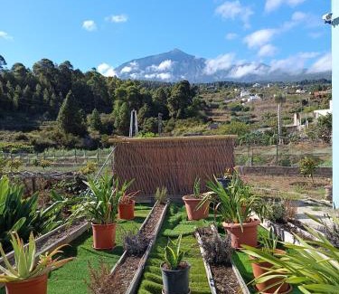 Buen Paso Apartamento | Loft Vista al Teide