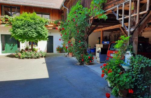 Scheibbs Apartamento | Loftartige Wohnung in Scheibbs mit Schwimmteich