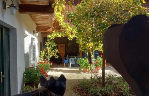 Scheibbs Apartamento | Loftartige Wohnung in Scheibbs mit Schwimmteich